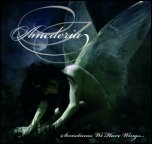 Amederia - 'Sometimes We Have Wings' (2008)